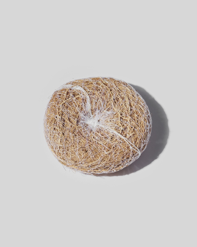 Brosse en racine de vetiver