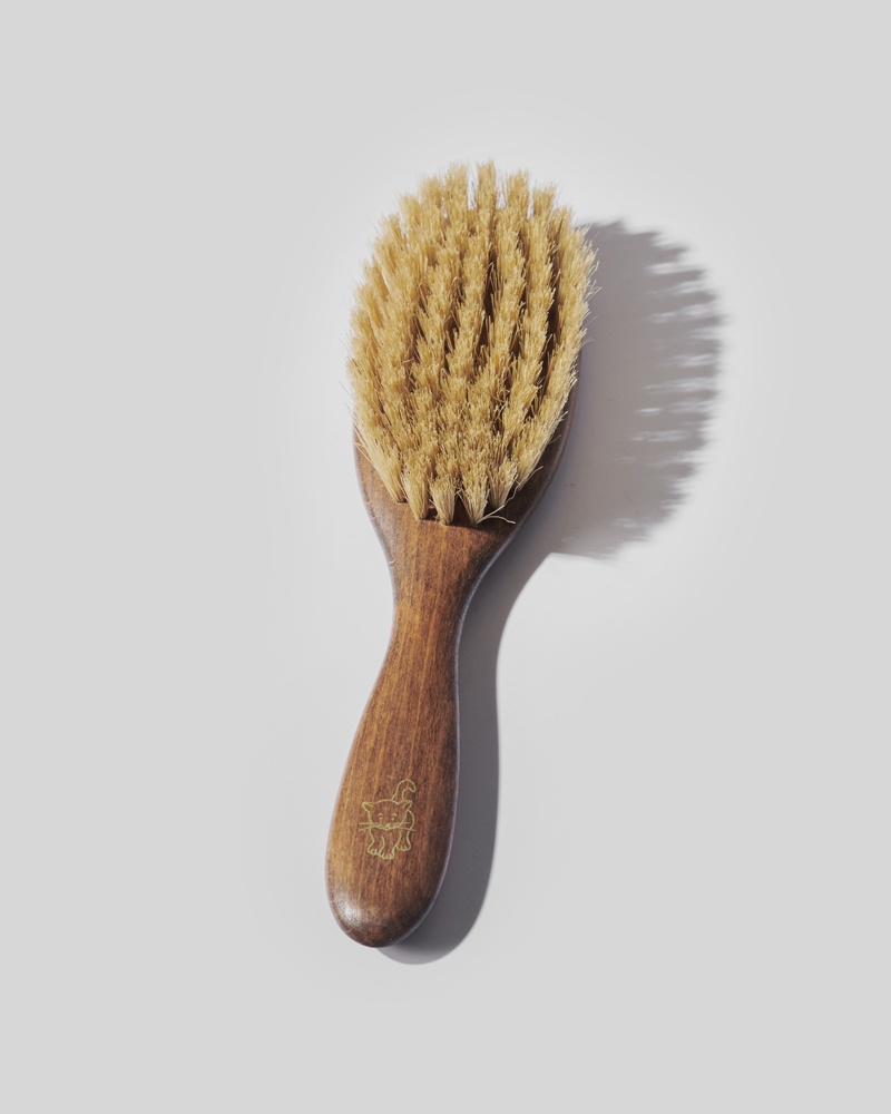 Brosse chat