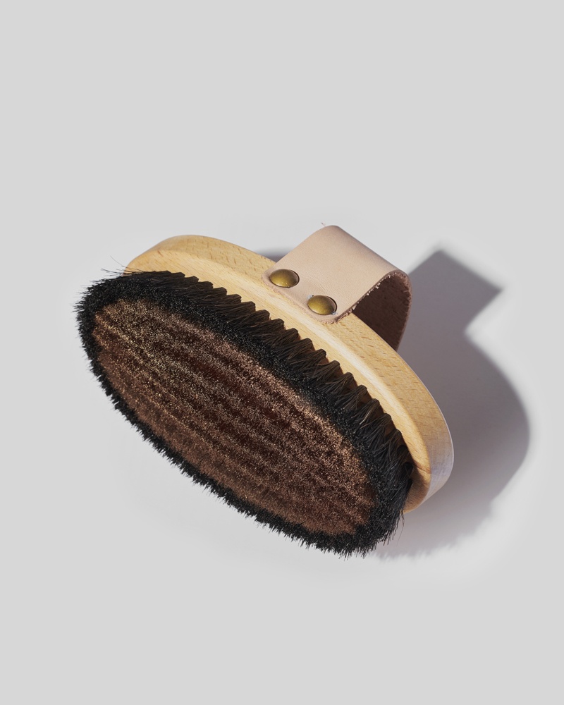 Brosse ionique pour le corps