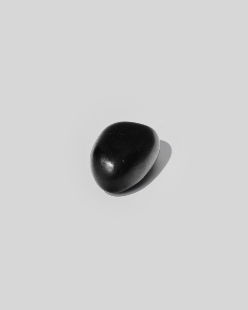 shungite galet